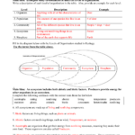 Ecology Review Worksheet 11