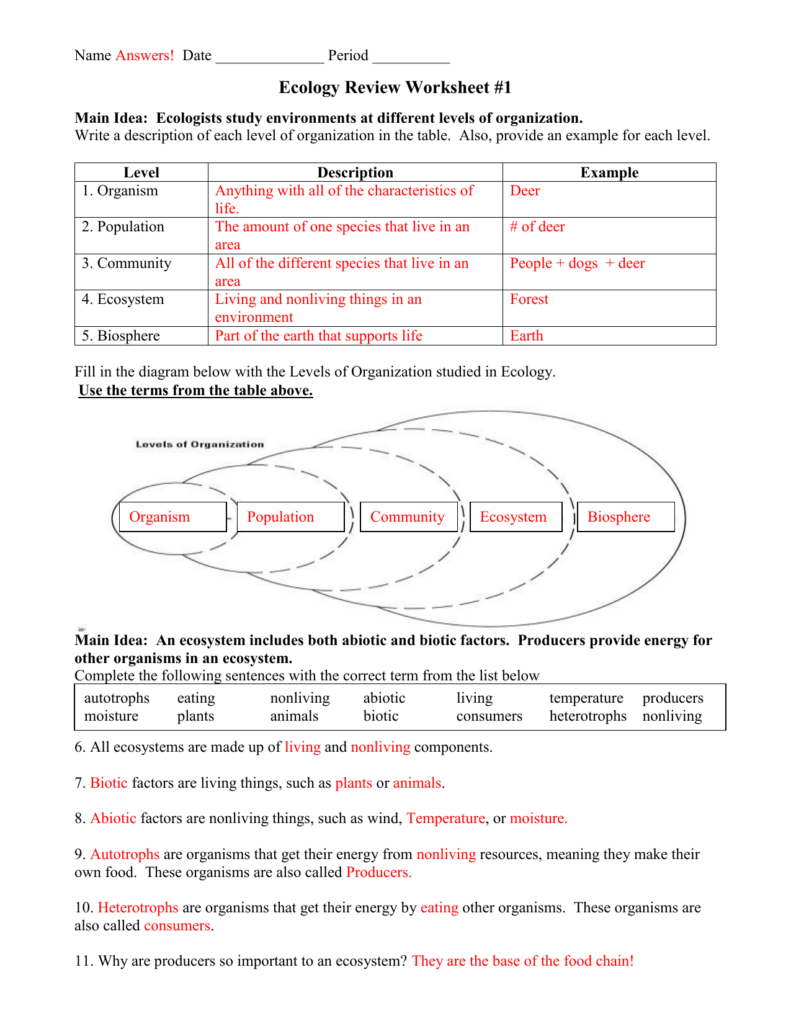 Ecology Review Worksheet 11