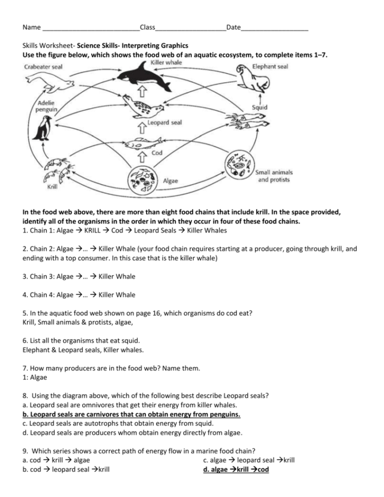 Food Chains And Food Webs Skills Worksheet Answers Db excel