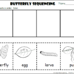 Free Butterfly Sequencing Cut And Paste Worksheet Made By Teachers