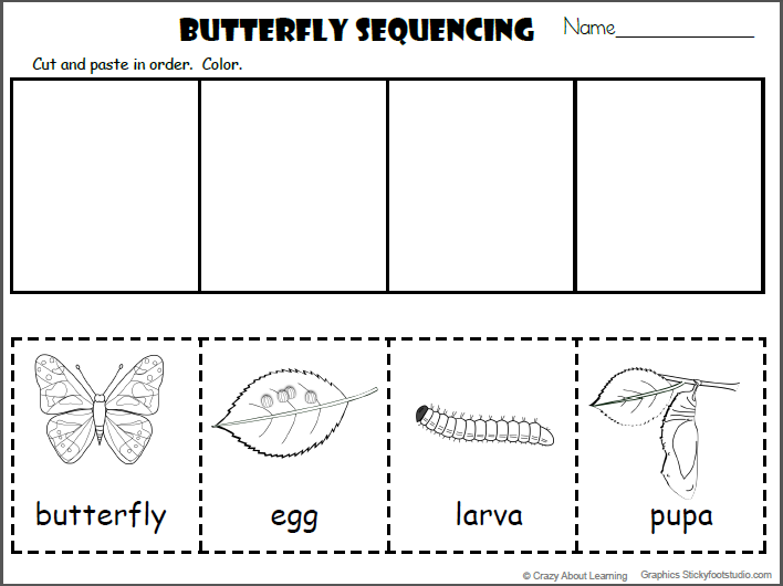 Free Butterfly Sequencing Cut And Paste Worksheet Made By Teachers