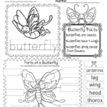 Free Printable Parts Of A Butterfly Worksheet