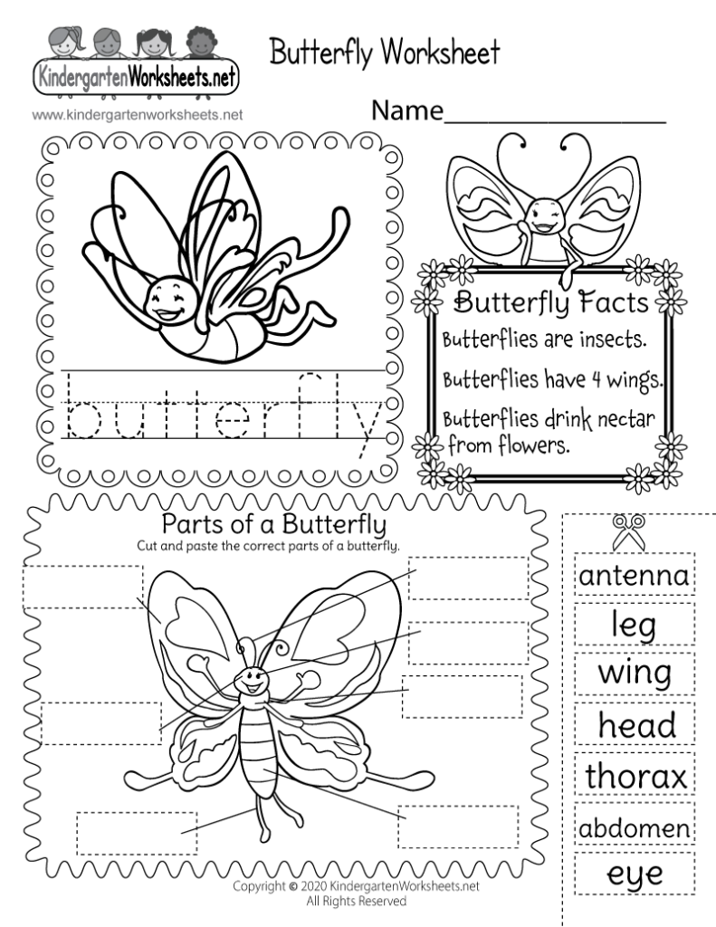 Free Printable Parts Of A Butterfly Worksheet