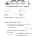 Genetics Basics Worksheet 2000 Answer Key