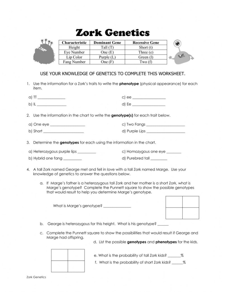 Genetics Basics Worksheet 2000 Answer Key