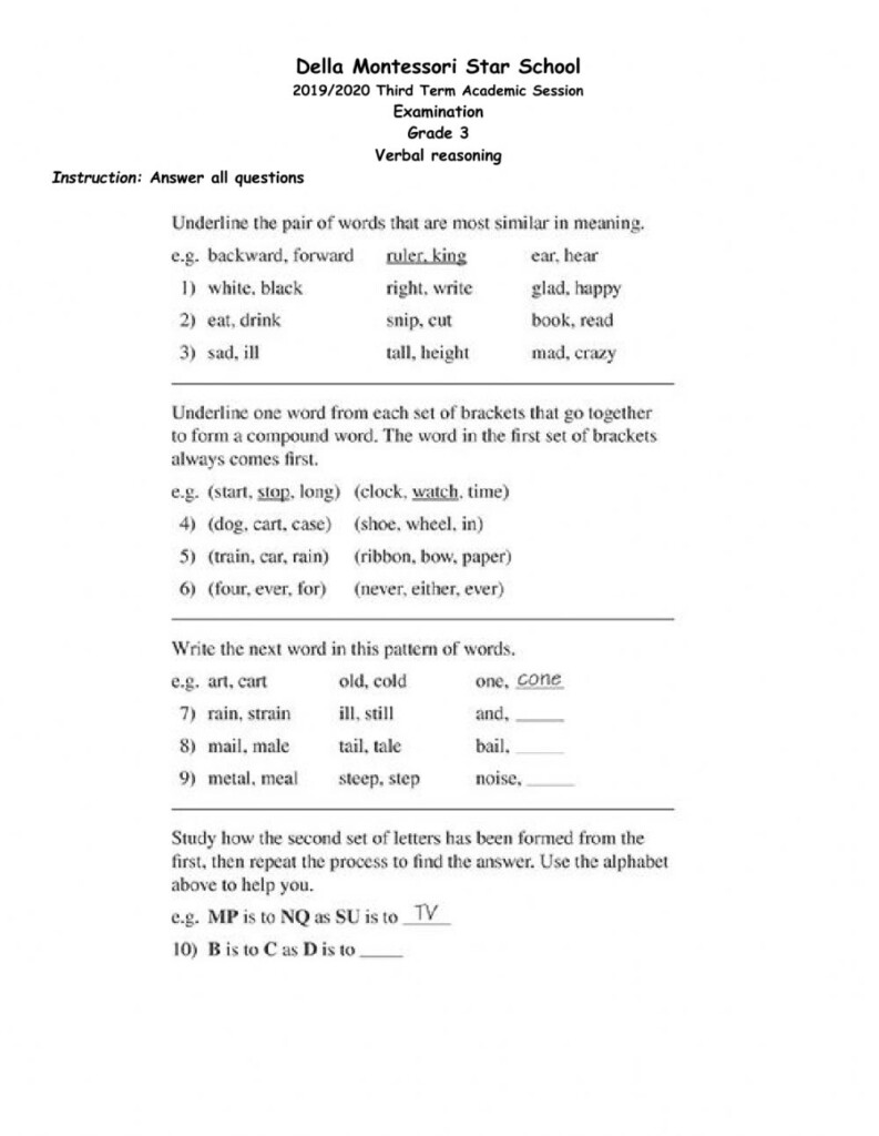 Grade 3 Verbal Reasoning Examination Worksheet