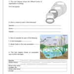 Grade 9 Unit 1 Introduction To Ecology Worksheet