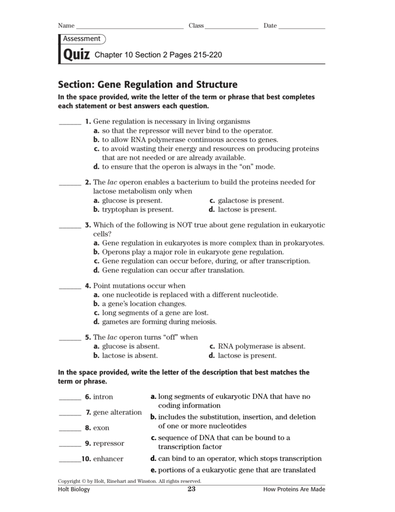 Holt Biology Dna Rna And Proteins Worksheet Answers