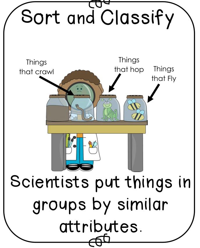 Inquiry Skills Science Unit Science Inquiry Science Units Science 