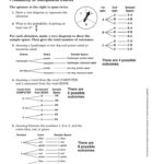 Lesson 3 Skills Practice Probability Of Compound Events Db excel