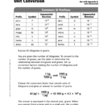 Nelson Reyes Alvarez Unit Conversions Math Skills Transparency Masters