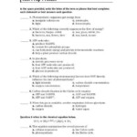 Photosynthesis Worksheet Middle School