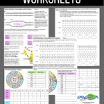 Protein Synthesis Worksheet Answers Laney Lee Inspireaza