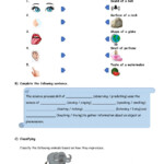 Science Year 2 Dlp Worksheet Classify Teaching Learning Module Kssr