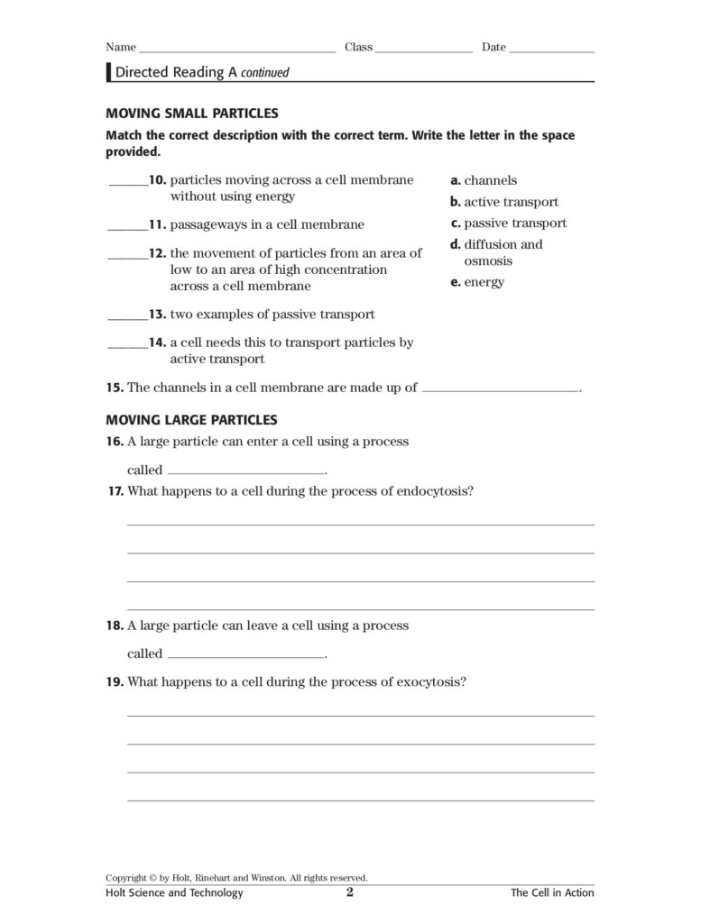 Skills Worksheet Active Reading