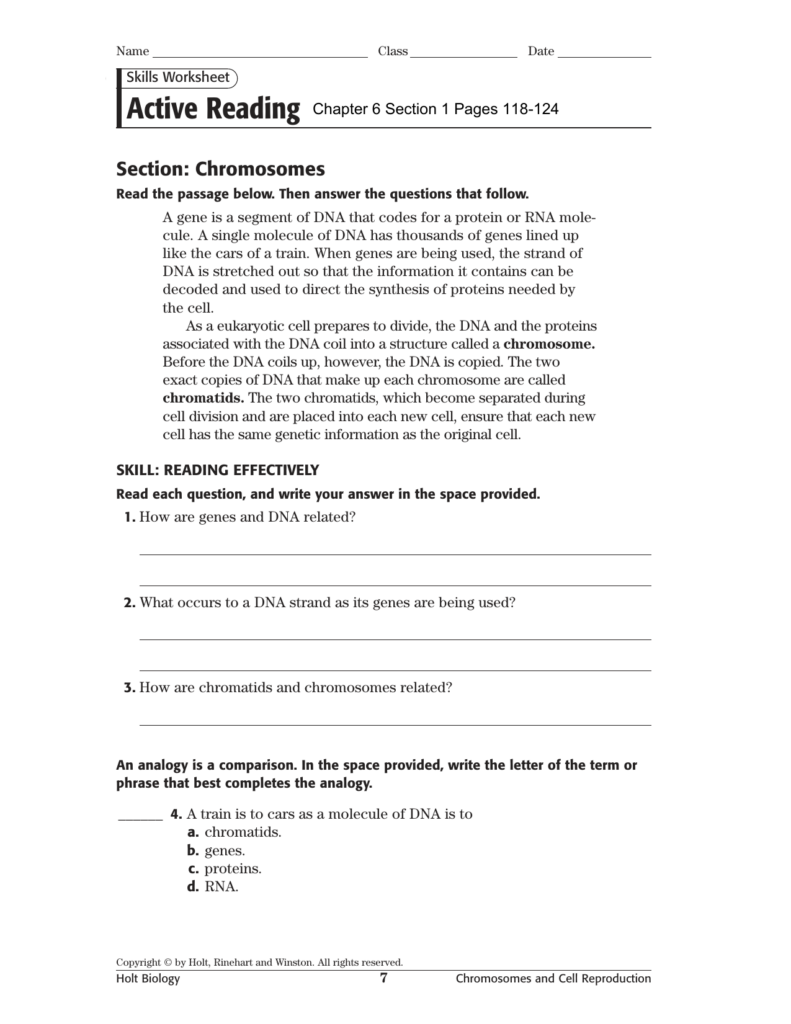 Skills Worksheet Active Reading