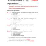 Skills Worksheet Active Reading Answer Key Naturally