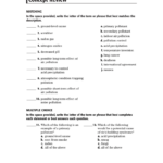 Skills Worksheet Concept Review Answer Key Holt Chemistry Studiodesign84