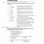 Skills Worksheet Concept Review Answers Db excel