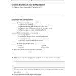 Skills Worksheet Directed Reading Db excel