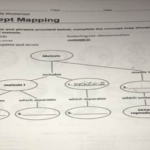 Solved Class HW 3 29 Skills Worksheet Concept Mapping Concept Map