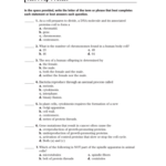 Test Prep Pretest Db Excel SkillsWorksheets