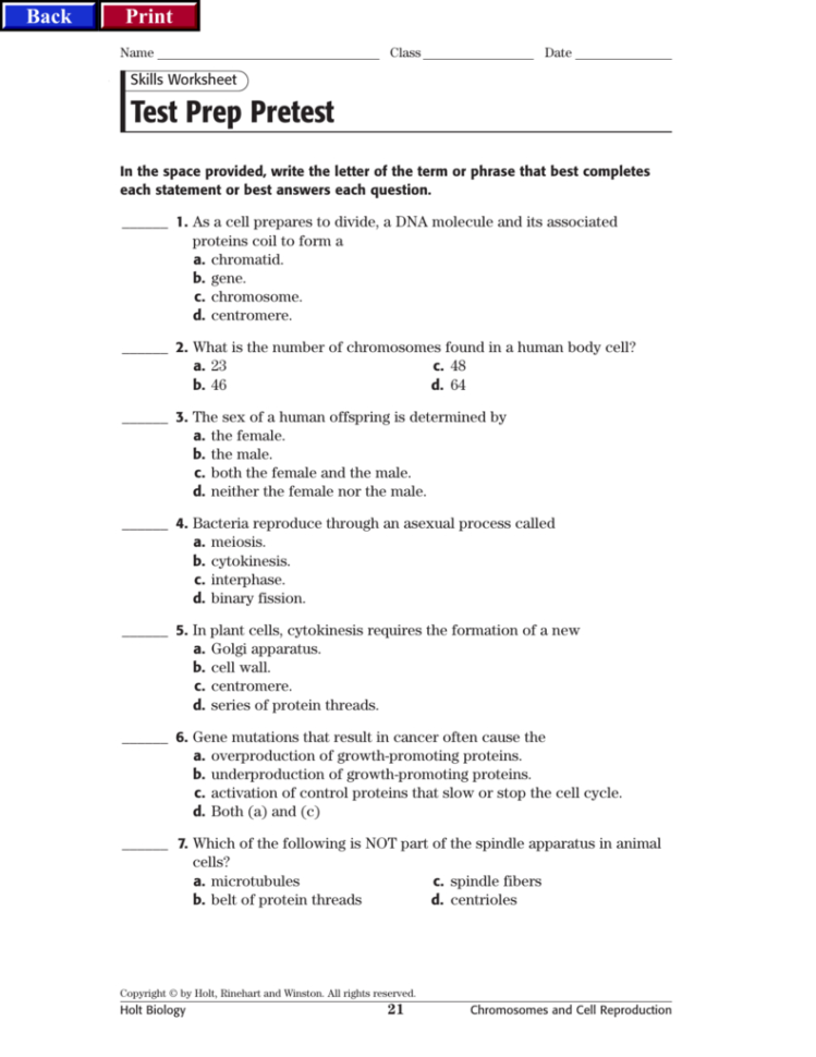 Test Prep Pretest Db Excel SkillsWorksheets