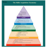 The Skills Acquisition Taxonomy EdrawMax Editable Template In 2021