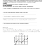 Using Graphing Skills Packet