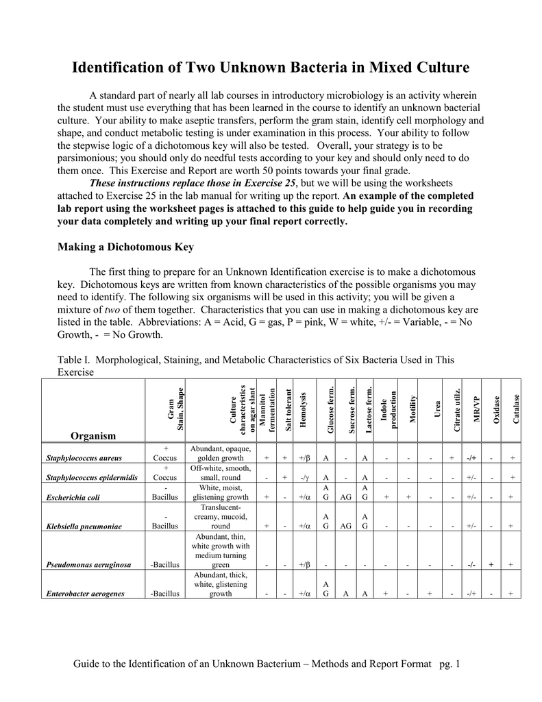 Using Graphing Skills Packet SkillsWorksheets