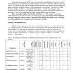 Using Graphing Skills Worksheet Answer Key SkillsWorksheets