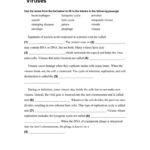 Virus And Bacteria Worksheet Answers