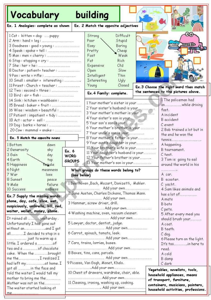 Vocabulary Building ESL Worksheet By Lilianarota