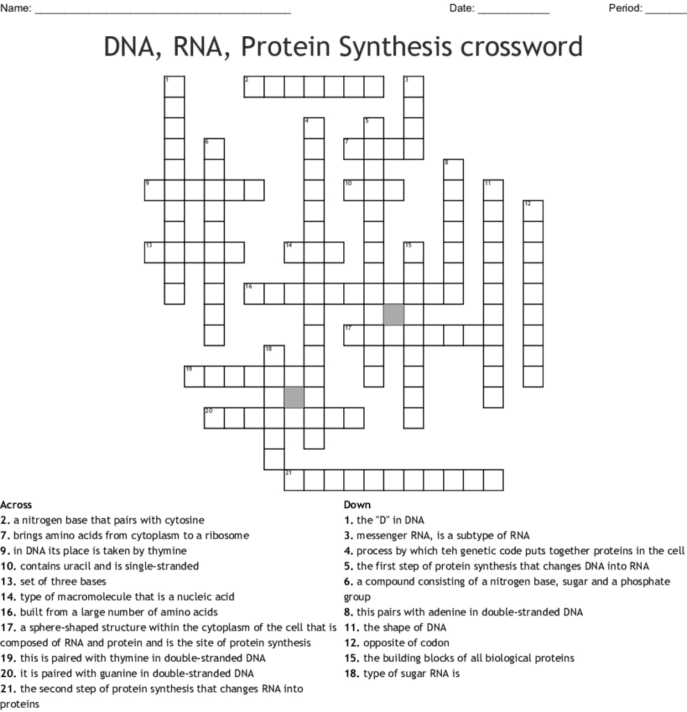 Worksheet On Dna Rna And Protein Synthesis Answer Sheet Db excel