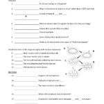 14 Viruses And Bacteria Worksheets Worksheeto