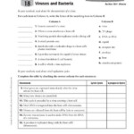 Biology Viruses Worksheet Free Worksheets Samples