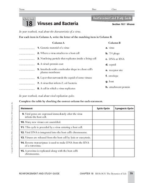 Biology Viruses Worksheet Free Worksheets Samples