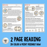 Cell Cycle Mitosis Guided Reading Worksheets PDF Digital