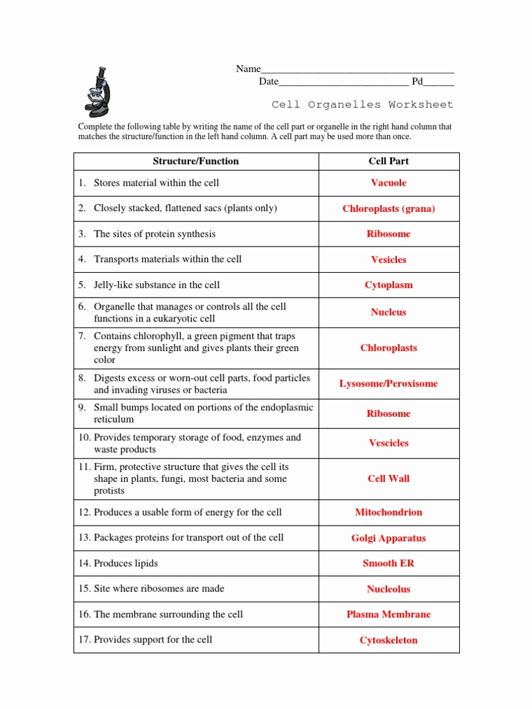 Cell Parts And Functions Worksheet Answers Worksheets Samples