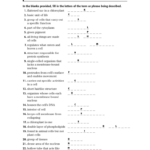 Cell Structure And Function Vocabulary