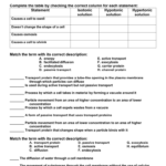 Cell Transport Review Worksheet