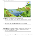 Community Ecology Worksheet