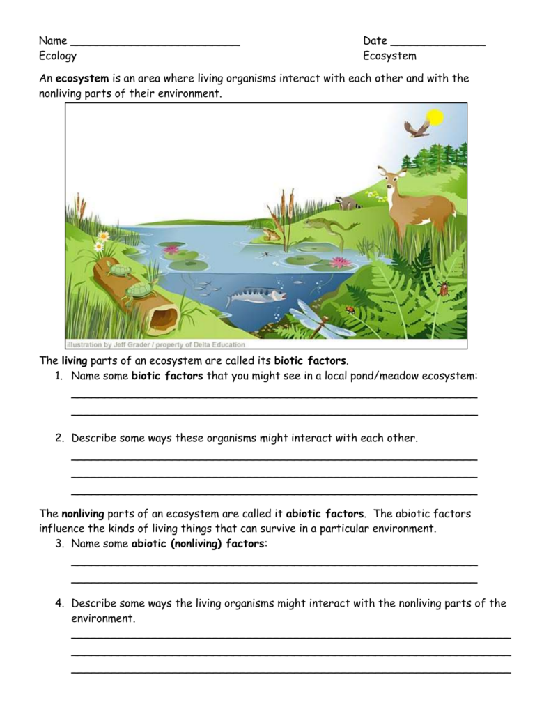 Community Ecology Worksheet