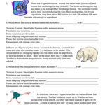 Darwin 39 s Natural Selection Worksheet