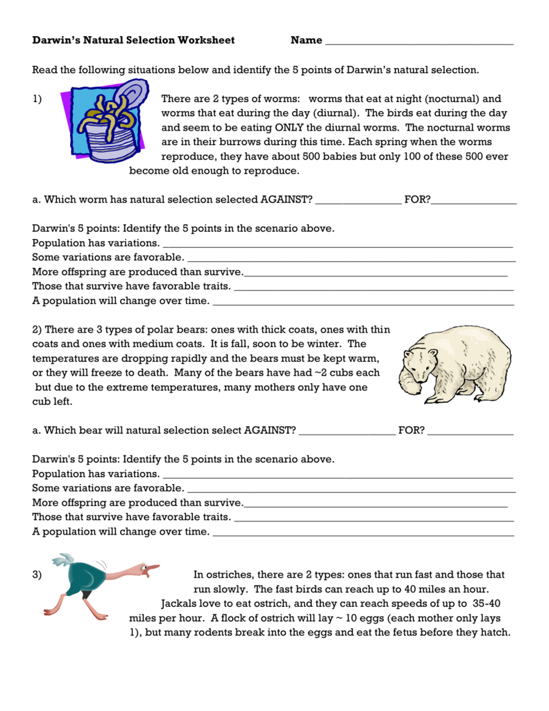 Darwin 39 s Natural Selection Worksheet