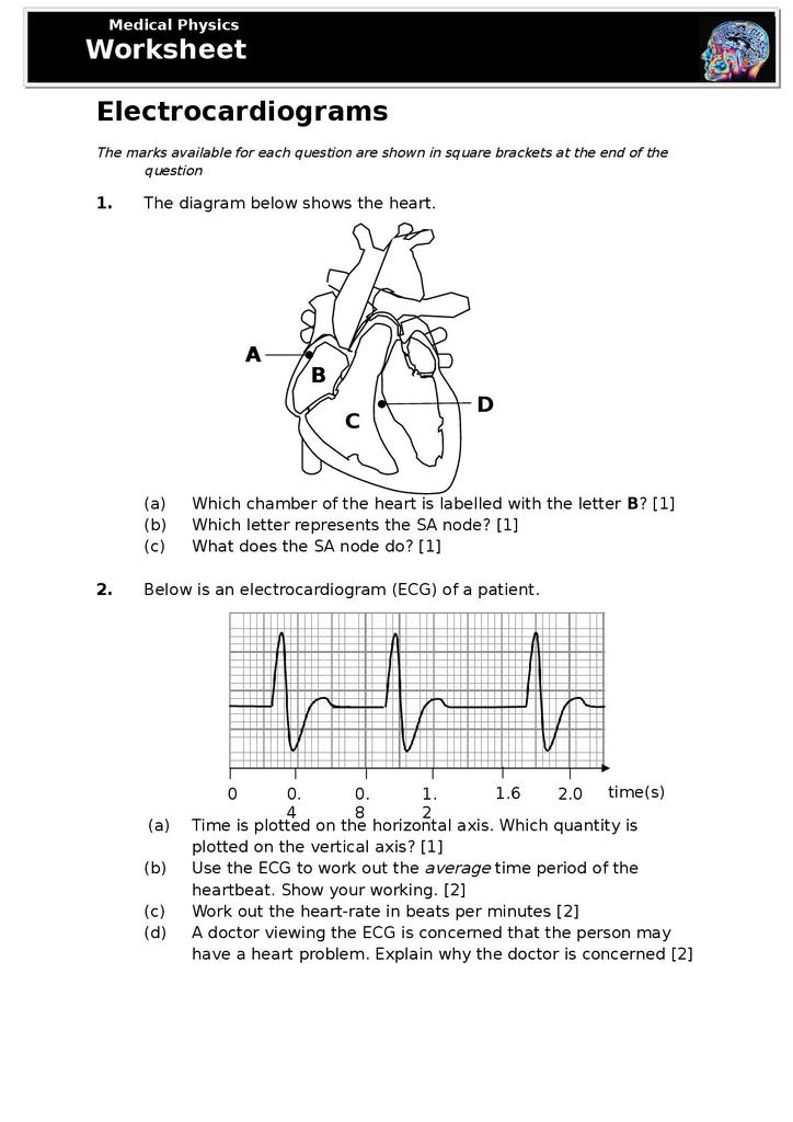 Ekg Practice Worksheet With Answers