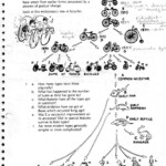 Evolution By Natural Selection Worksheet Answers Kidsworksheetfun