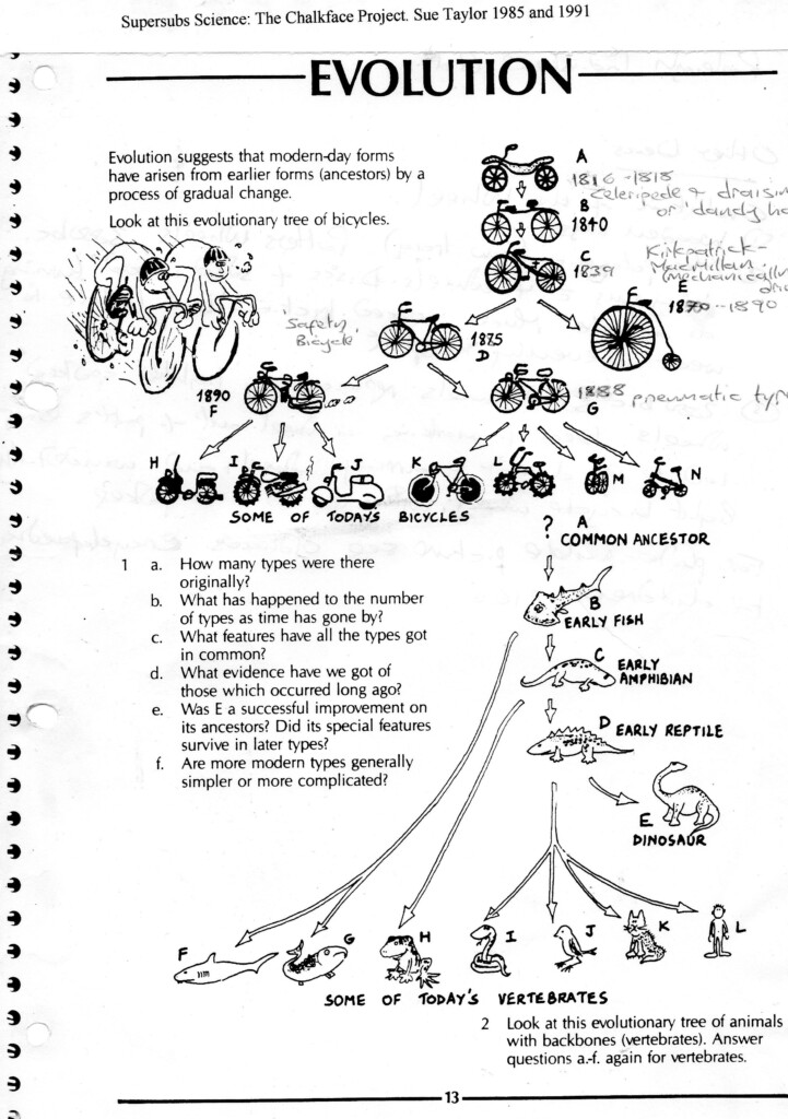 Evolution By Natural Selection Worksheet Answers Kidsworksheetfun