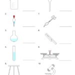 Lab Equipment Worksheet Scrollied