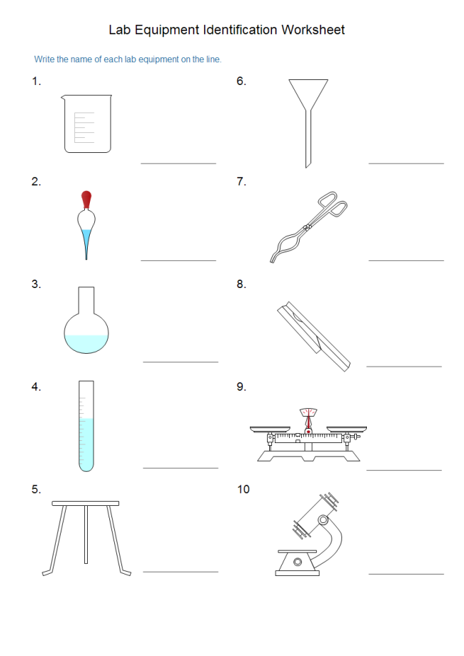 Lab Equipment Worksheet Scrollied